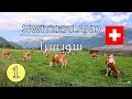 رحلتي الى سويسرا  |  Switzerland Vlog