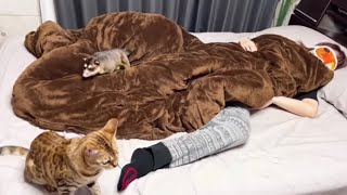 遅刻しそうなママを起こしに行った動物がまさかの行動に・・・