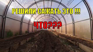 Сад огород Юлии Миняевой /КТО ПОСЕЛИЛСЯ В ПРУДУ? ЧТО БУДЕТ В ТЕПЛИЦЕ ????