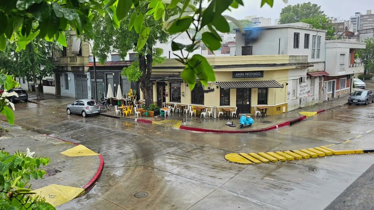 VENTA  2 CASAS EN POCITOS 