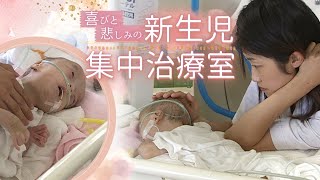 そこに命があるから 　NICU新生児集中治療室