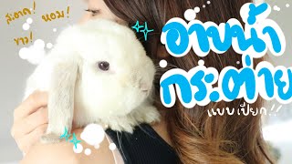 EP.20 อาบน้ำกระต่าย นอนทับฉี่ ขนเลอะ! ทำไงดี #BunnyTTCoupe | Joyjee Loveberry