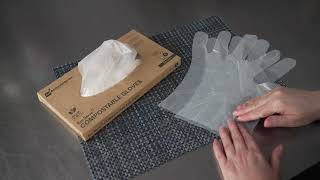 Eco Serve Compostable Gloves - Restaurantware