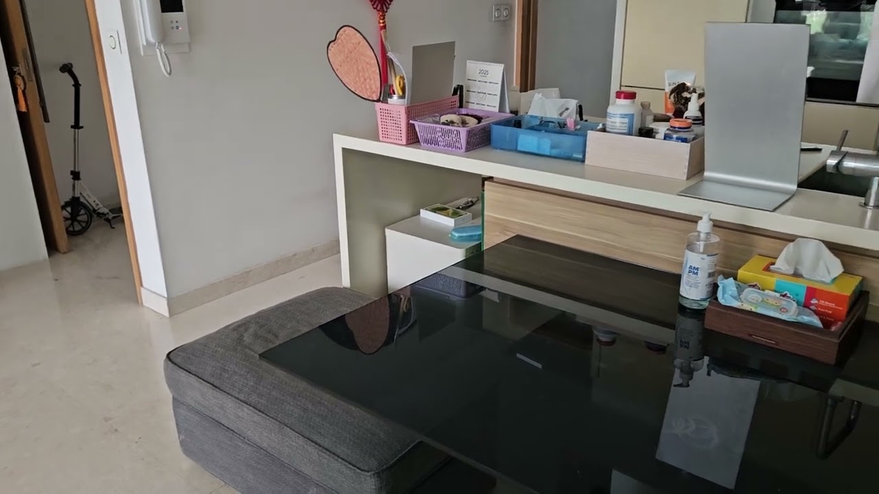 Reaction of 2 dogs - Elly +Lala  when I Came Back Home - 080724