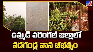 ఉమ్మడి వరంగల్ జిల్లాలో వడగండ్ల వాన బీభత్సం | TS News - TV9