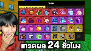 ต้องเก็บผลปีศาจ ให้ครบ 24ชั่วโมง BloxFruits