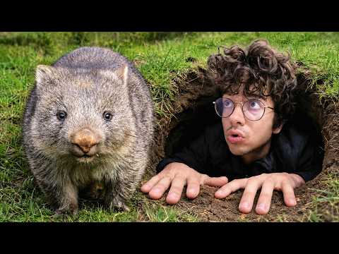 This is why you shouldn't bother the animals in Australia...