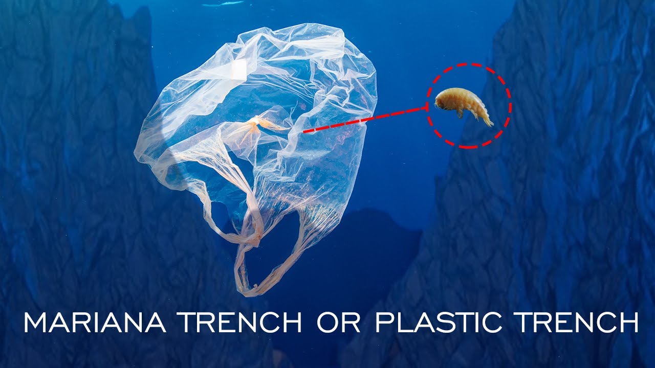 Unveiling the Impact: Plastic Waste in Mariana Trench and Its