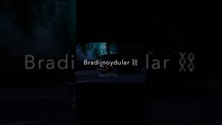 Iki Qardaşdılar Blatnoydular Şfet