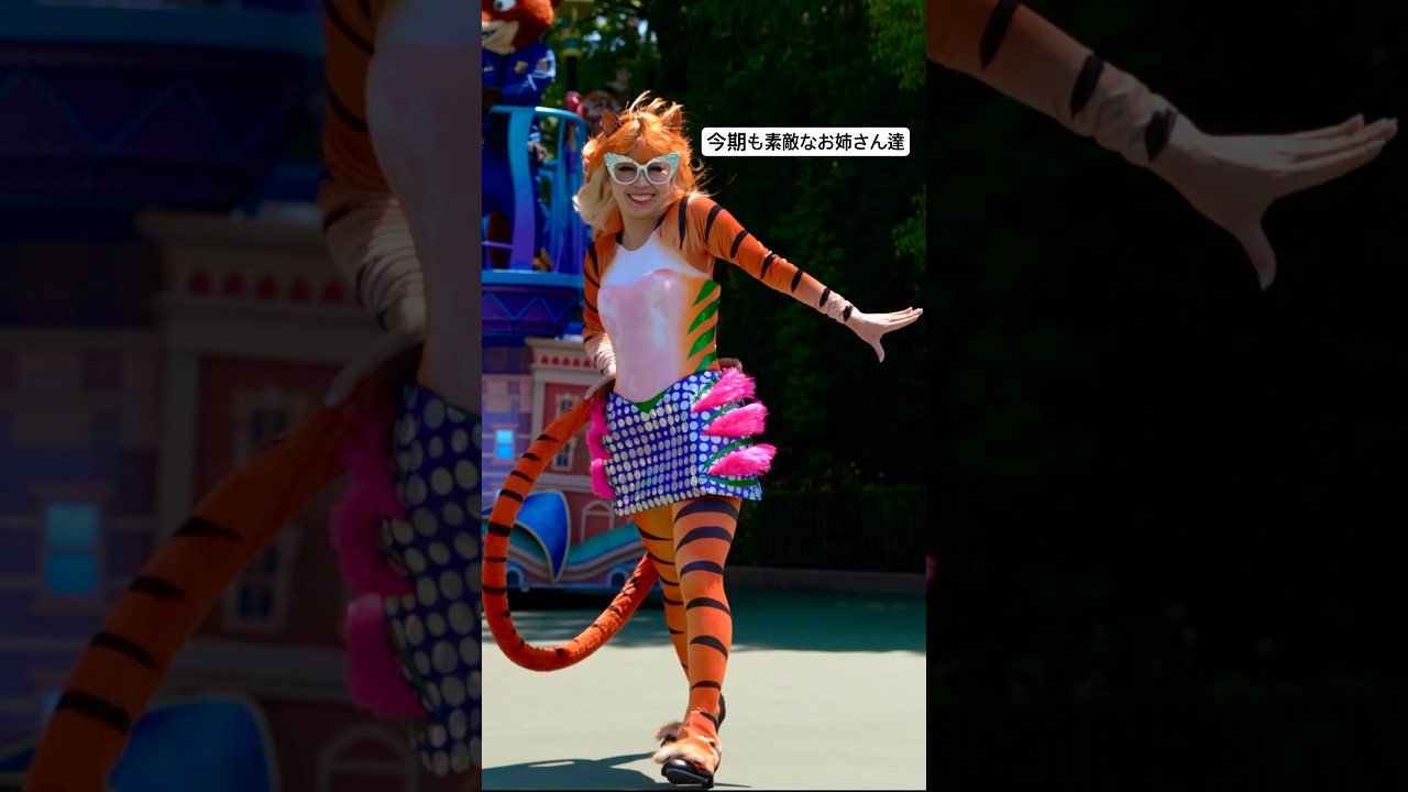 トラ姉さんたちは眩しかったっす
