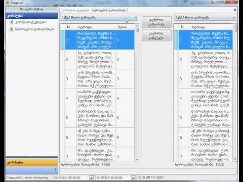 ნინო დობორჯგინიძე