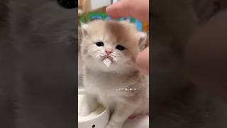 This is what pure happiness looks like 😍