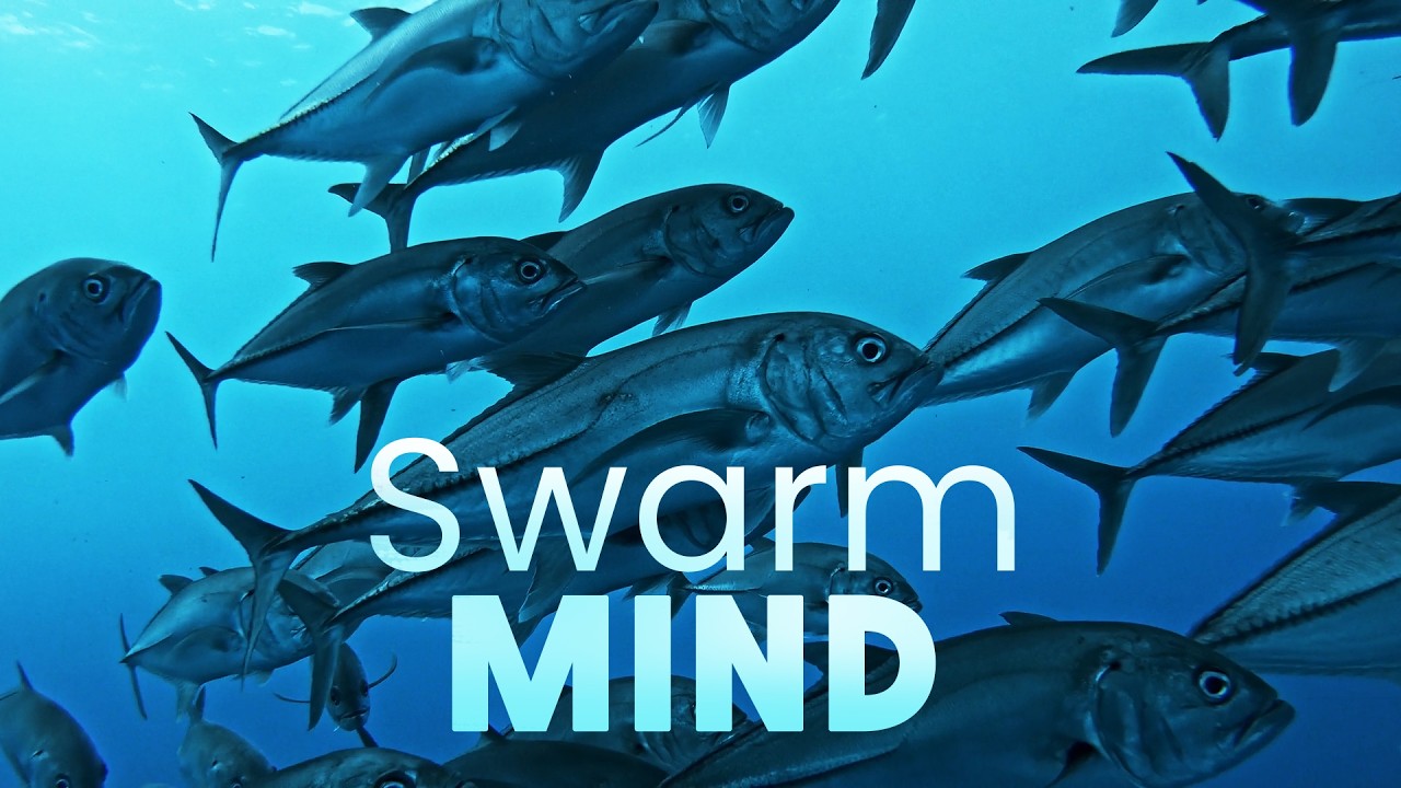 When Millions Move as One: The Science of Swarms and Crowds | Smart ...
