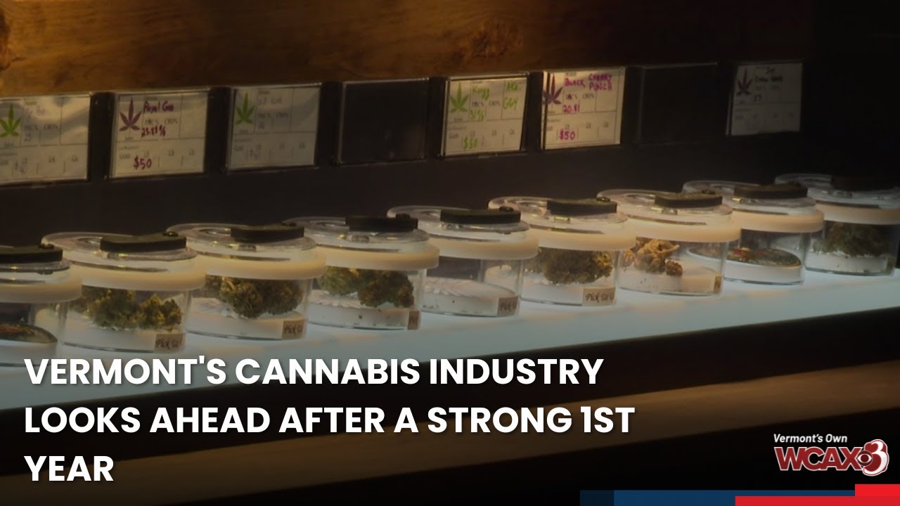 Vermont’s cannabis industry looks ahead after a strong first year