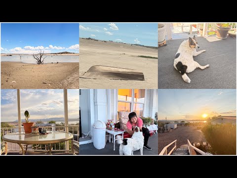 A day in a life😄🐕🥣🧑🏽‍🍳 what did i do🤭ชีวิตประจำวันช่วงเยี่ยมคุณแม่ทำอะไรมั่ง ep:1