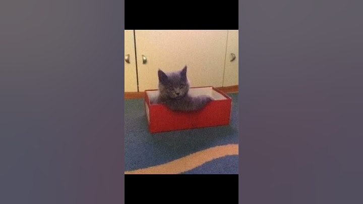 мем про дни #мем