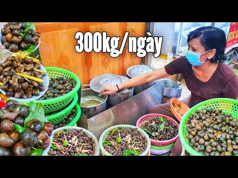 Video Ốc Ngon Phố Cổ Hà Nội Ngày Bán 300kg Khách Sài Gòn Ra... - youtube