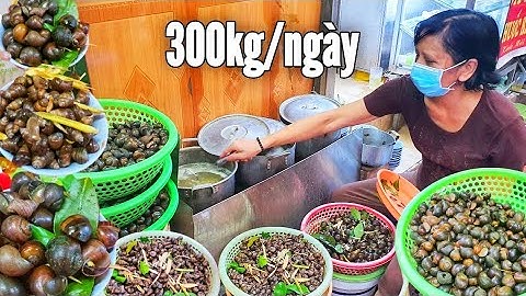 Ốc Ngon Phố Cổ Hà Nội Ngày Bán 300kg Khách Sài Gòn Ra Ăn Đông Nghẹt