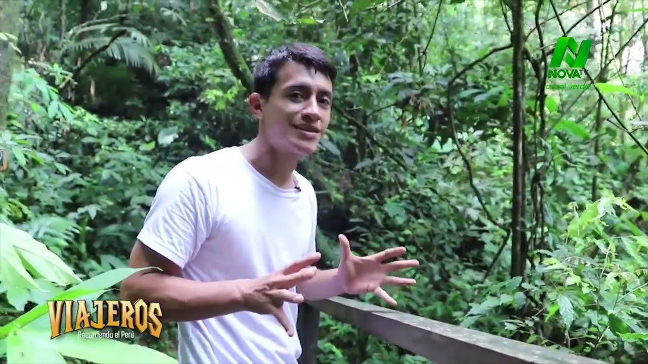 CATARATAS LAS GOLONDRINAS TARAPOTO WOWW