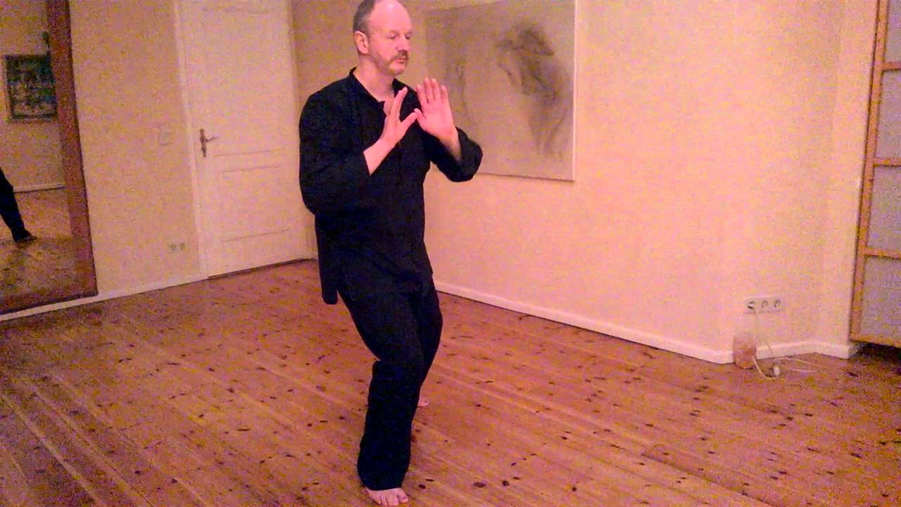 9er-Form Chen-Taijiquan (Ausbilder Andreas Schmidt)