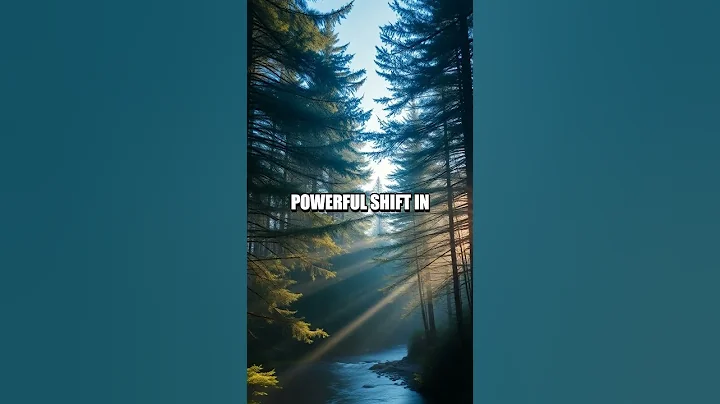 Stoic Gratitude: Transforming Perspective