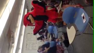 Concordia Harlem Shake