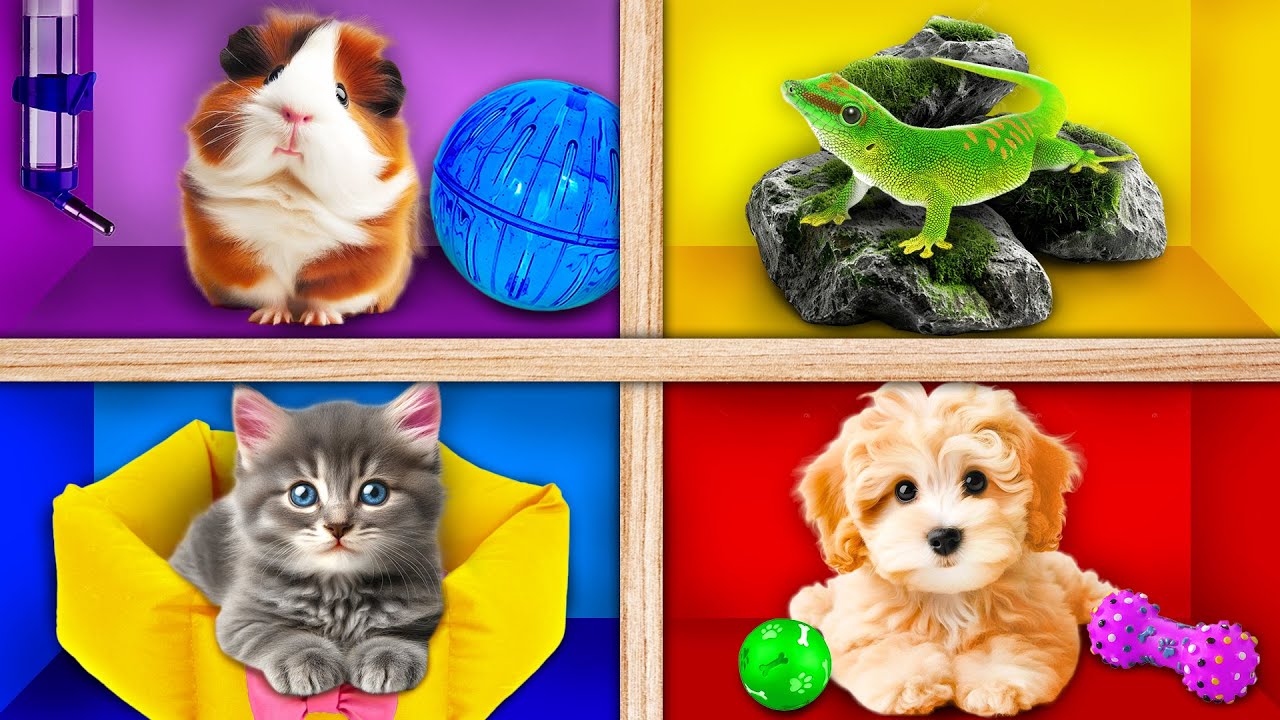 Строим Домики для Животных | Сумасшедший Челлендж от GoFun Challenge