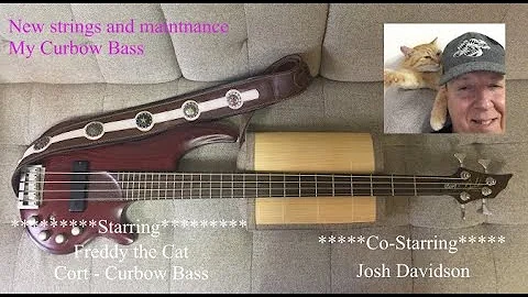 New set of Round wound strings to my Curbow Bass, bass playing and Freddy my Cat - Japan 2020