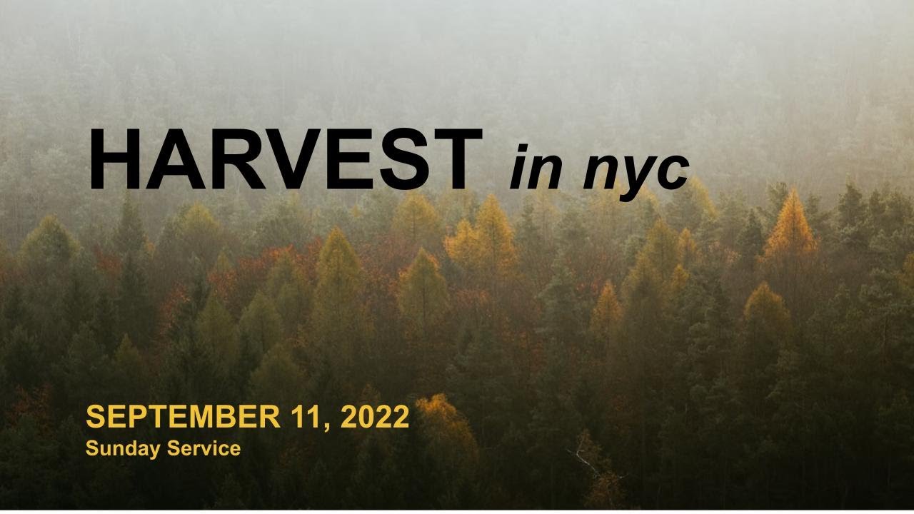 Harvest NYC 9/11/22 YouTube