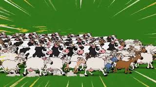 Cows, Sheep, and Goats Animals Stampede Green Screen | Animal Stampede Green Screen