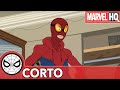 Predicción | Spider-Man de Marvel