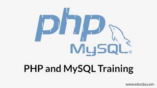 Introduction to Web Development
