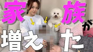 3年ぶりに新しい家族が増えました♡