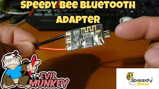 Speedy Bee Bluetooth Adapter - Unbox and Setup