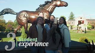 Marywood University Strategic Plan 2025-2030 News