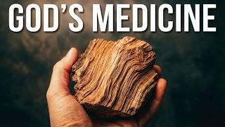 15 Biblical Plants That Will Heal You Instantly