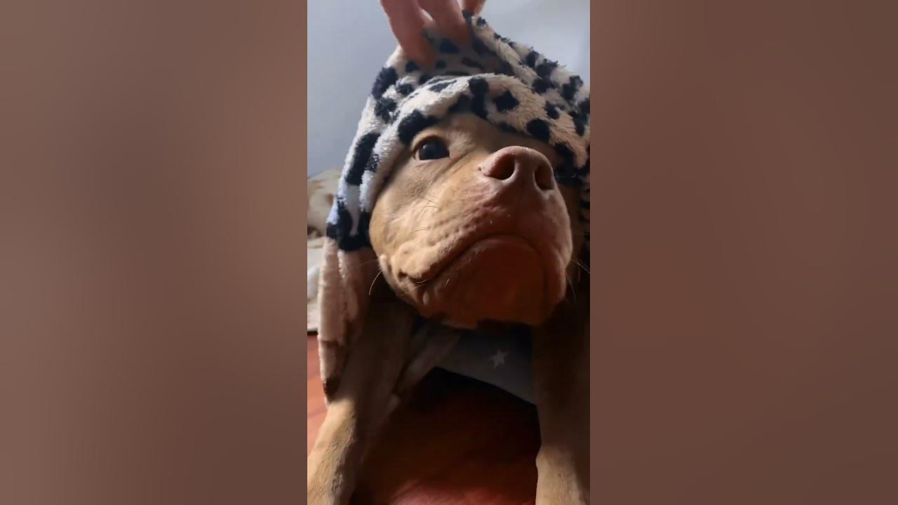 это привидение 👻👻👻 - YouTube