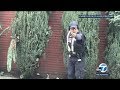 Security guard caught on video shooting woman in leg outside LA synagogue | ABC7