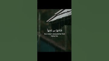 《سورة مريم 》 الشيخ شريف مصطفى 🕊