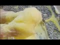 AMAZING CLEANING WITH THICK FOAM  ASMR SATISFYING MOMENT🪣🧽🧹🫧