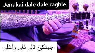 Lesson#51: Jenakai dale dale raghle on rabab for learning screenshot 1