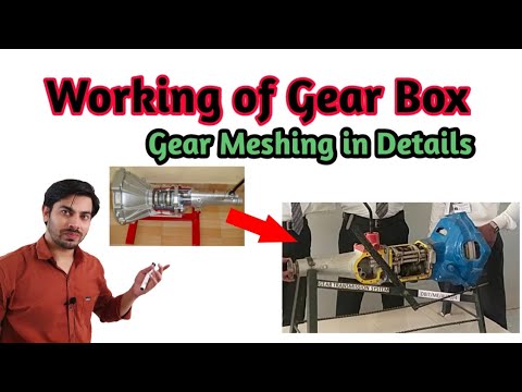 Gear Box working