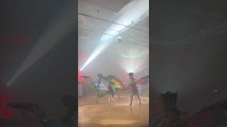 Sambastica - Rio - Butterflies