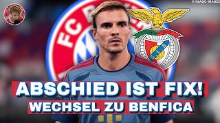 TRANSFER FIX! Joao Palhinha verlässt den FC Bayern!