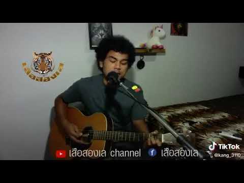 ตราบธุรีดิน  เสือสองเล
