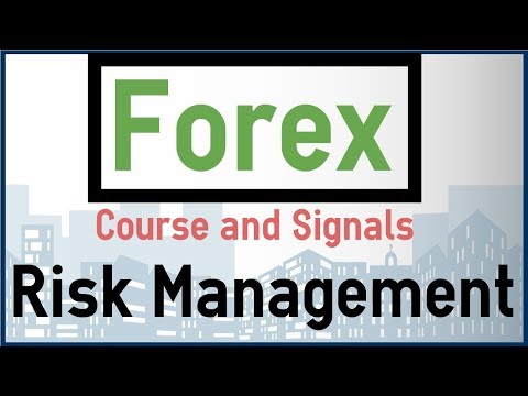 Forex risk management course