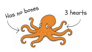 Why Octopuses are (probably) aliens