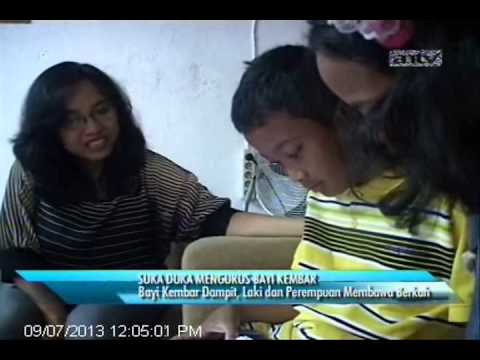TOPIK ANTV Bayi Kembar Dan Inseminasi Buatan