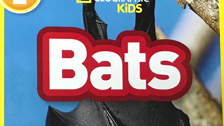 Bats non-fiction day 4