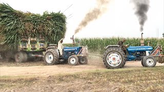 Fully loaded Tralla Pull with 4 Tractor Ford 4000 Ford 4600 Ford 4610 Tractor Stunt